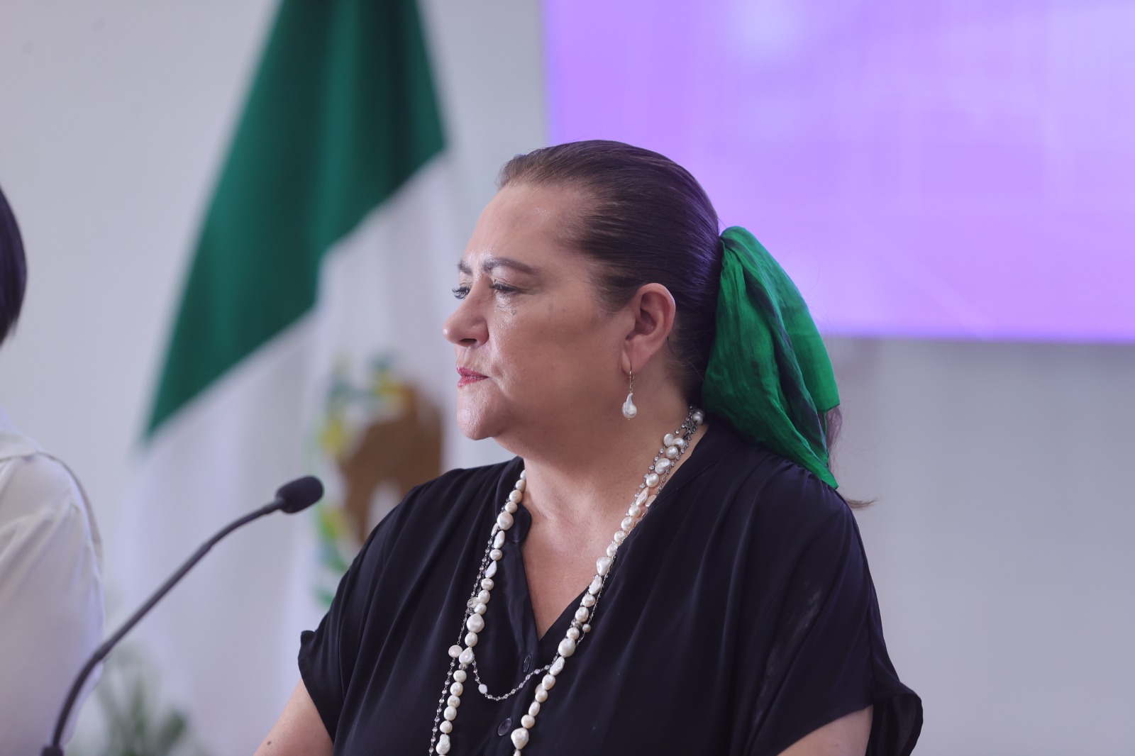 Guadalupe Taddei, Consejera Presidenta del INE