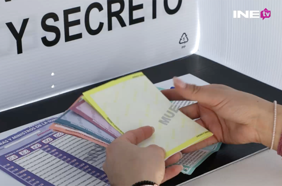 Imagen de Persona votando