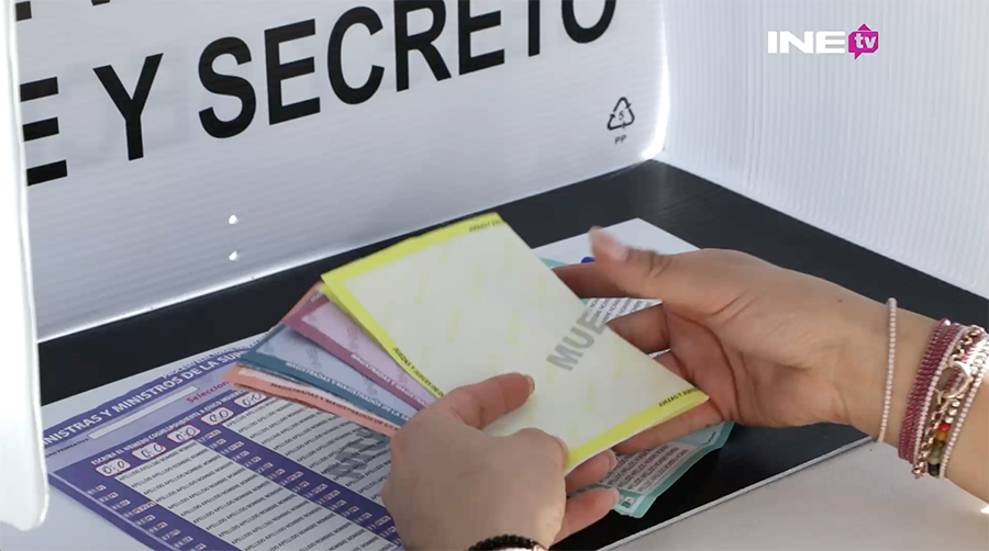 Imagen de Persona votando