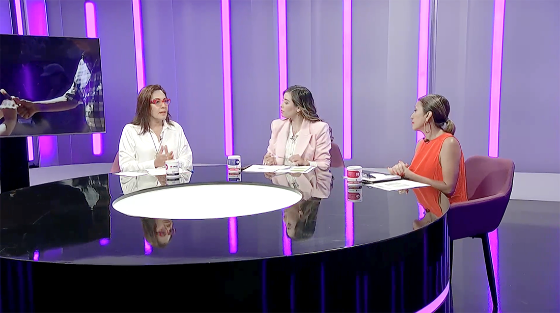 8de8 contra la violencia en la pElección del Poder Judicial