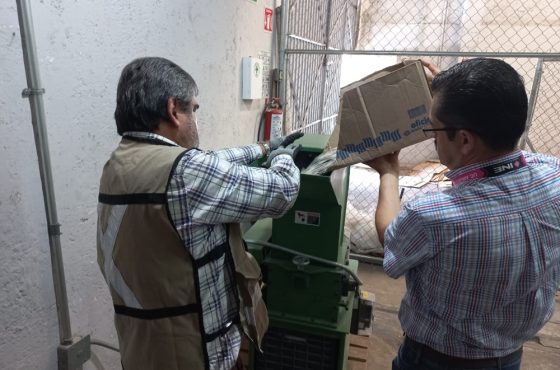 Dos trabajadores del INE vertiendo credenciales para votar a una trituradora