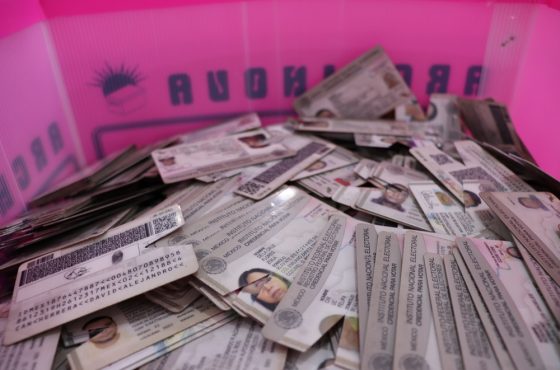 Varias credenciales para votar acumuladas en una caja de plástico color rosa previo a su destrucción