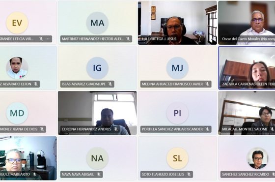 Se muestran las diversas pantallas de las personas que están conectadas en la sesión virtual