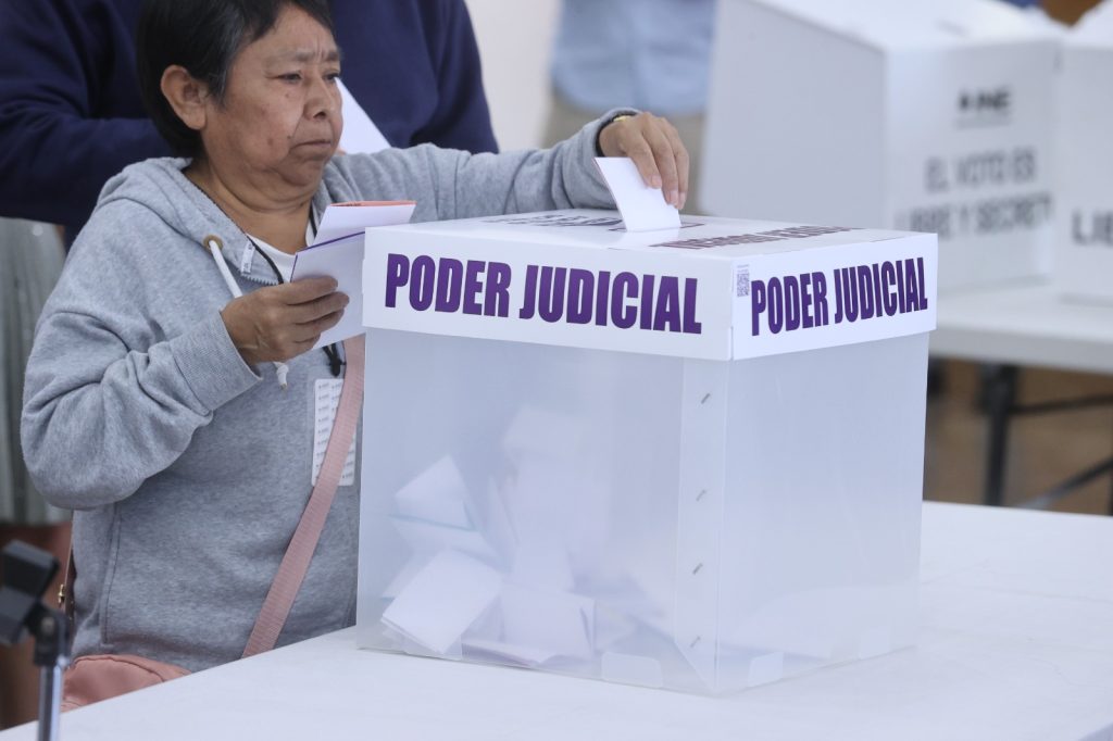 Persona de la tercera edad votando.
