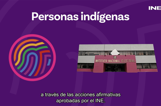 Imagen de Acciones afirmativas a favor de personas indígenas