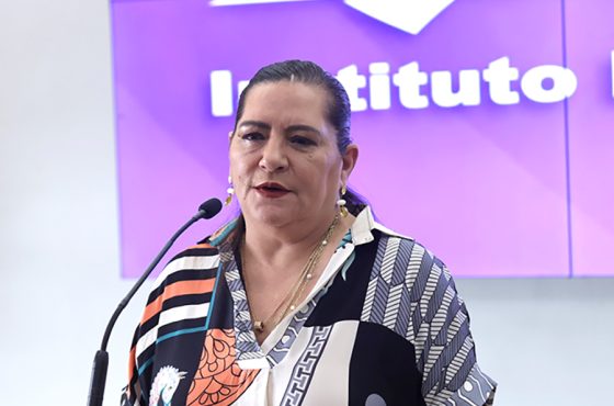 Guadalupe Taddei, Consejera Presidenta del INE