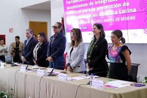 Panel del proyecto, Fortalecimiento de los ecosistemas de integridad electoral