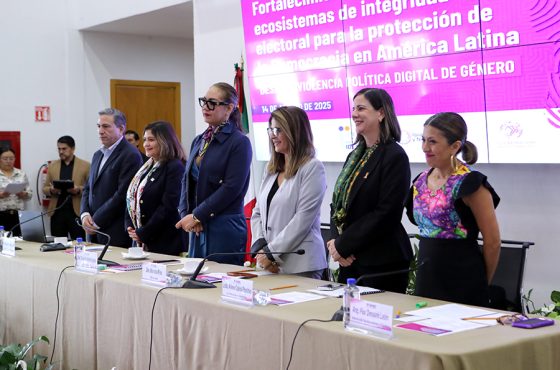 Panel del proyecto, Fortalecimiento de los ecosistemas de integridad electoral