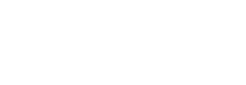 Logo Central Electoral