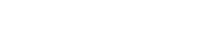Logo INE en Blanco