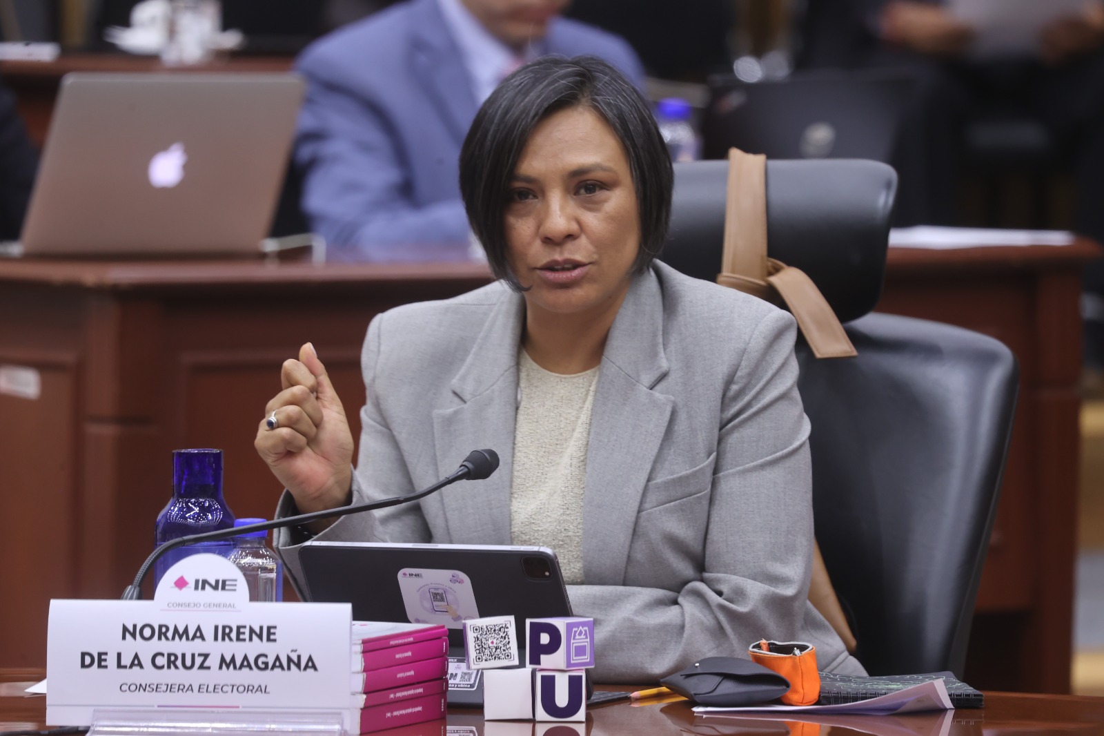 Norma Irene De La Cruz Magaña, Consejera Electoral en su participación en la sesión.