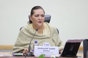 Consejera Presidenta, Guadalupe Taddei