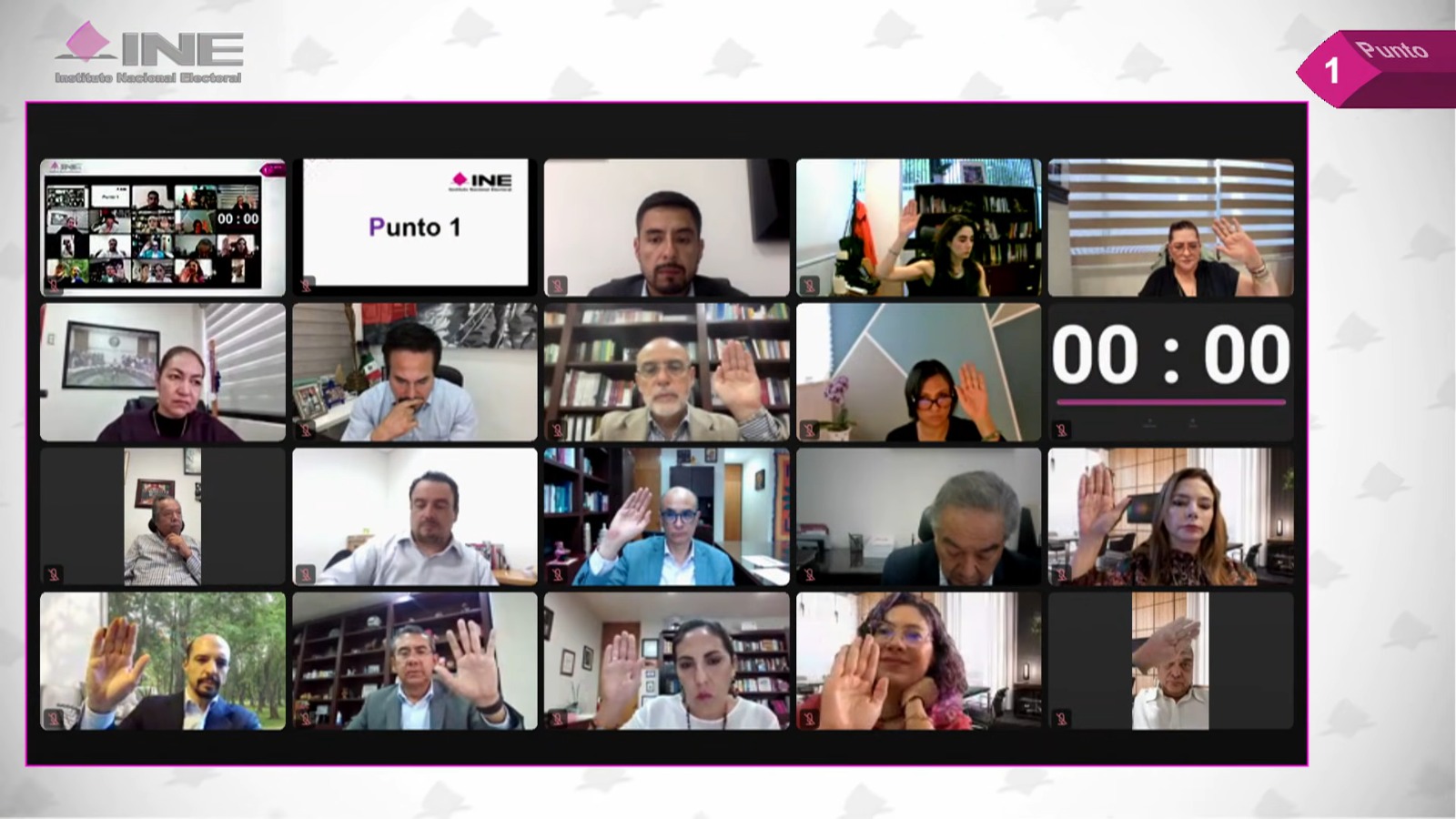 Sesión virtual del Consejo General del INE
