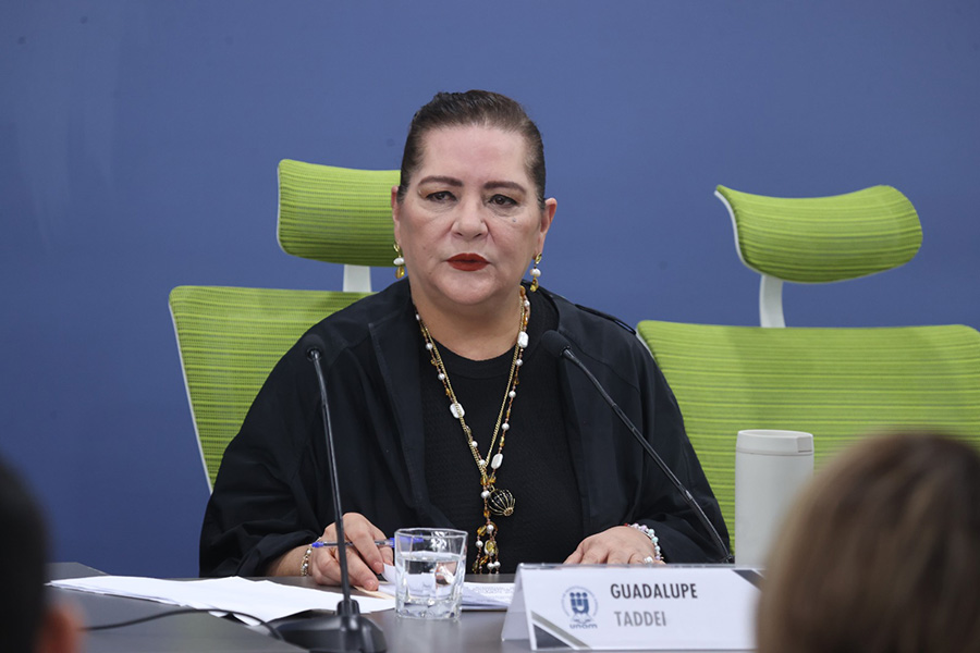 Guadalupe Taddei, Consejera Presidenta del INE