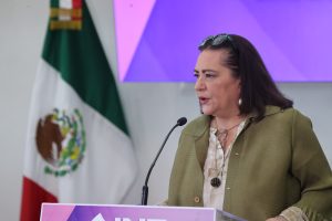 Guadalupe Taddei, Consejera Presidenta del INE
