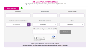Sistema de Citas del INE