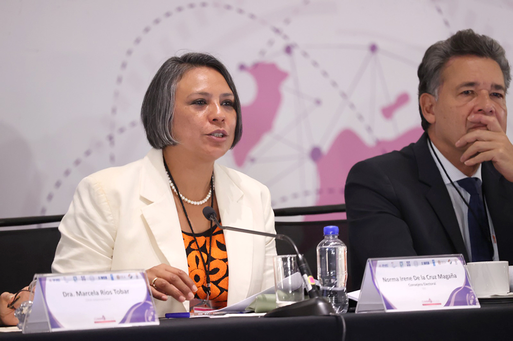 Consejera Electoral, Norma Irene De La Cruz