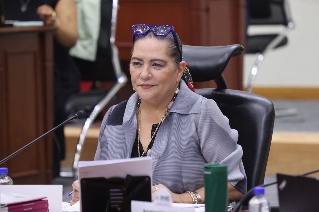 Guadalupe Taddei, Consejera Presidenta