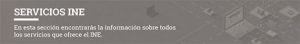 Servicios que brinda el INE